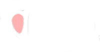 티처